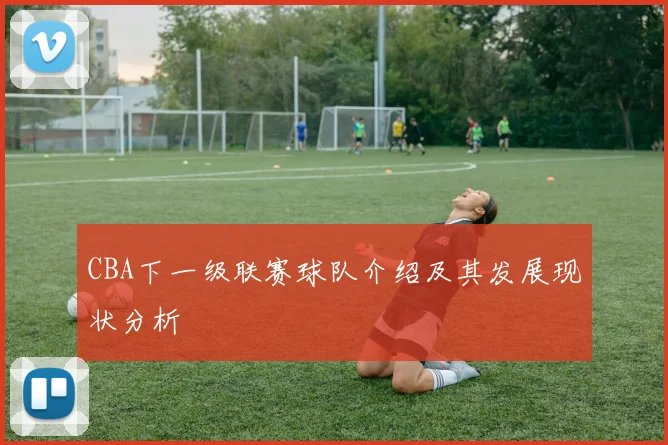CBA下一级联赛球队介绍及其发展现状分析