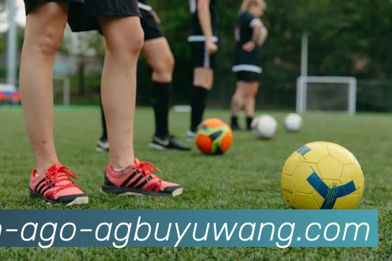 AG捕鱼王官网品牌故事