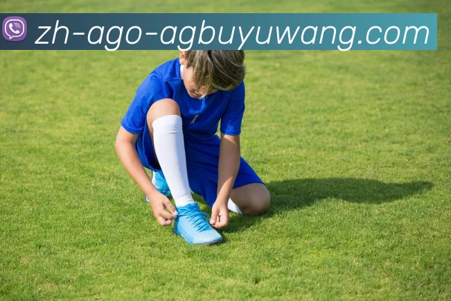 AG捕鱼王官网服务体系